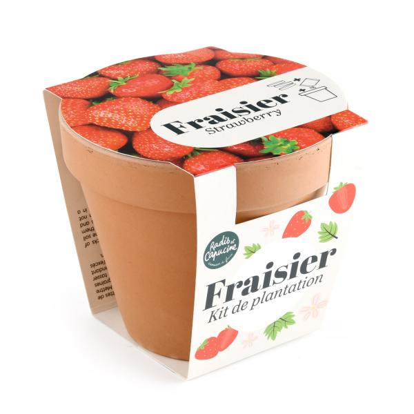 Radis et Capucine - Kit Fraisier - Pot Terre Cuite Antique - 13 cm - MEDIA_3D